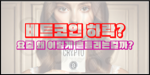 비트코인 왜 이렇게 흔들릴까?(멘탈잡기용 글)
