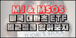 미국 대마초 ETF - MJ & MSOS ETF에 대해서 알아보자