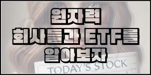 미국 원자력 산업 동향과 투자 분석