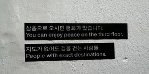 trend photo 1770636616 991